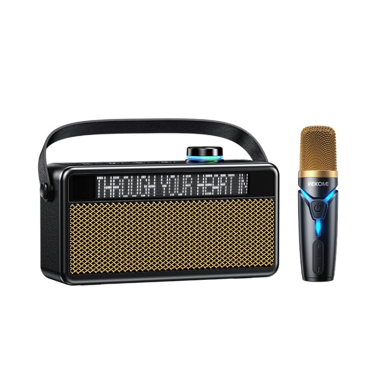 Enceinte Bluetooth WK Beluga D17 (noire), D17 (beige)